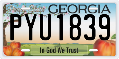 GA license plate PYU1839