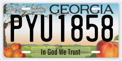 GA license plate PYU1858