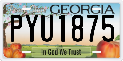 GA license plate PYU1875