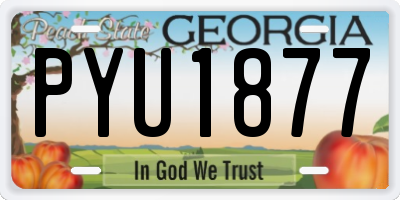 GA license plate PYU1877