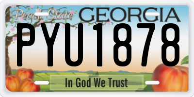 GA license plate PYU1878