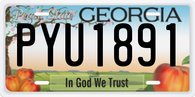GA license plate PYU1891