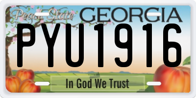 GA license plate PYU1916