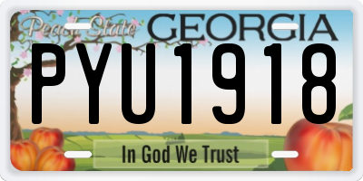 GA license plate PYU1918