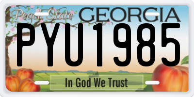 GA license plate PYU1985