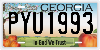 GA license plate PYU1993