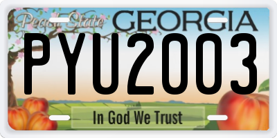 GA license plate PYU2003