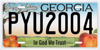 GA license plate PYU2004