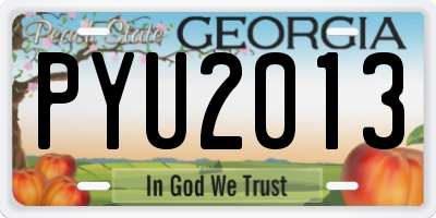 GA license plate PYU2013