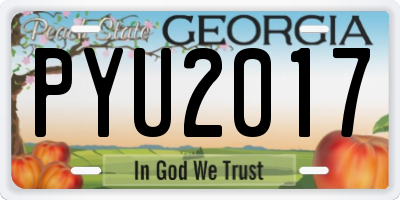 GA license plate PYU2017