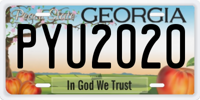 GA license plate PYU2020