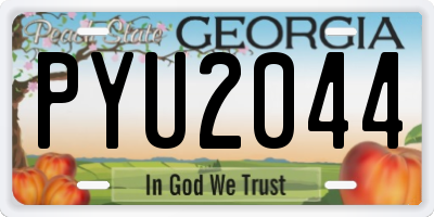 GA license plate PYU2044