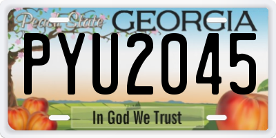 GA license plate PYU2045