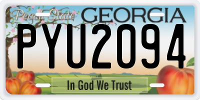 GA license plate PYU2094