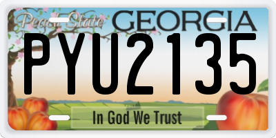 GA license plate PYU2135