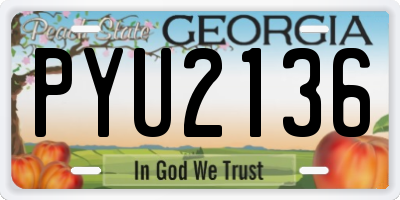 GA license plate PYU2136
