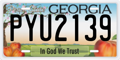 GA license plate PYU2139
