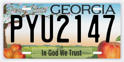 GA license plate PYU2147