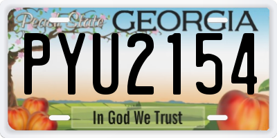 GA license plate PYU2154