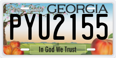 GA license plate PYU2155