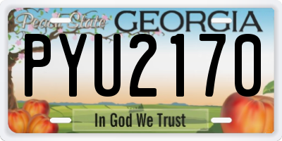 GA license plate PYU2170