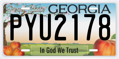 GA license plate PYU2178