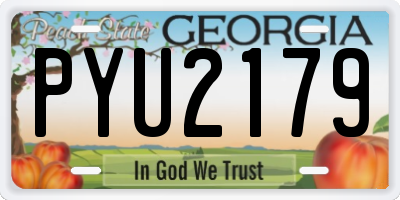 GA license plate PYU2179