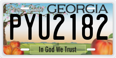 GA license plate PYU2182