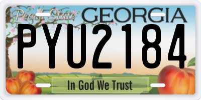 GA license plate PYU2184