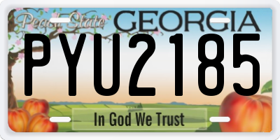 GA license plate PYU2185