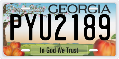 GA license plate PYU2189