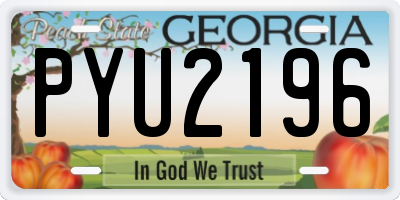 GA license plate PYU2196