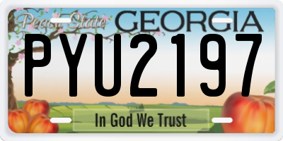 GA license plate PYU2197