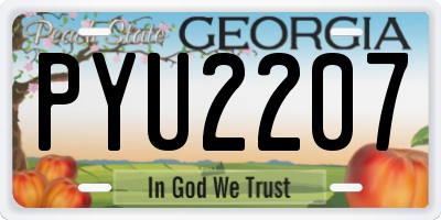 GA license plate PYU2207