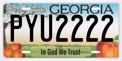 GA license plate PYU2222