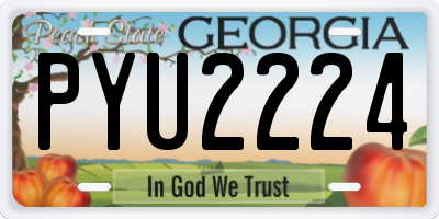 GA license plate PYU2224