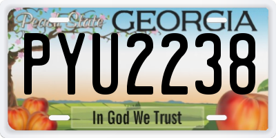 GA license plate PYU2238