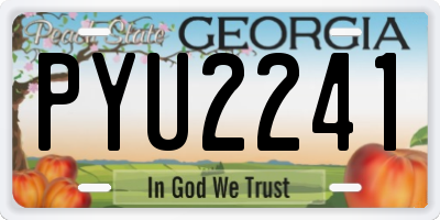 GA license plate PYU2241