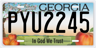 GA license plate PYU2245