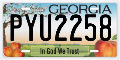 GA license plate PYU2258