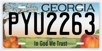 GA license plate PYU2263