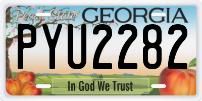 GA license plate PYU2282