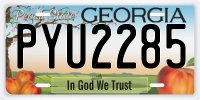 GA license plate PYU2285