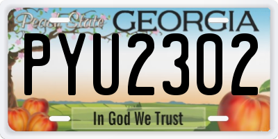 GA license plate PYU2302