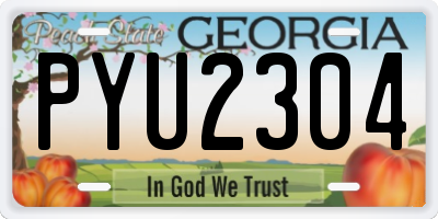 GA license plate PYU2304