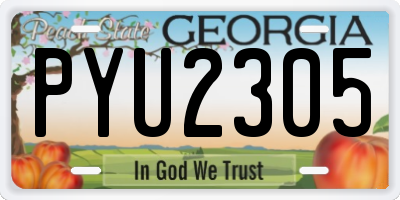 GA license plate PYU2305