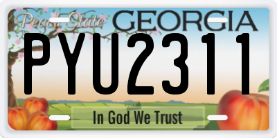 GA license plate PYU2311