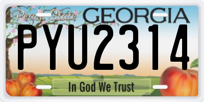 GA license plate PYU2314