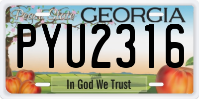 GA license plate PYU2316