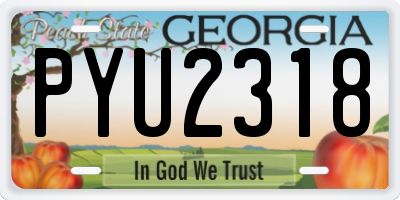 GA license plate PYU2318